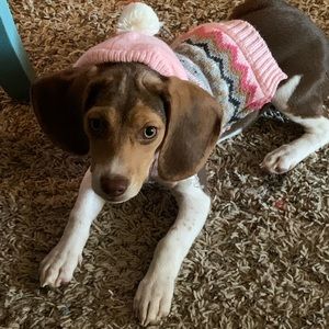 Meet your Posher, Chloe